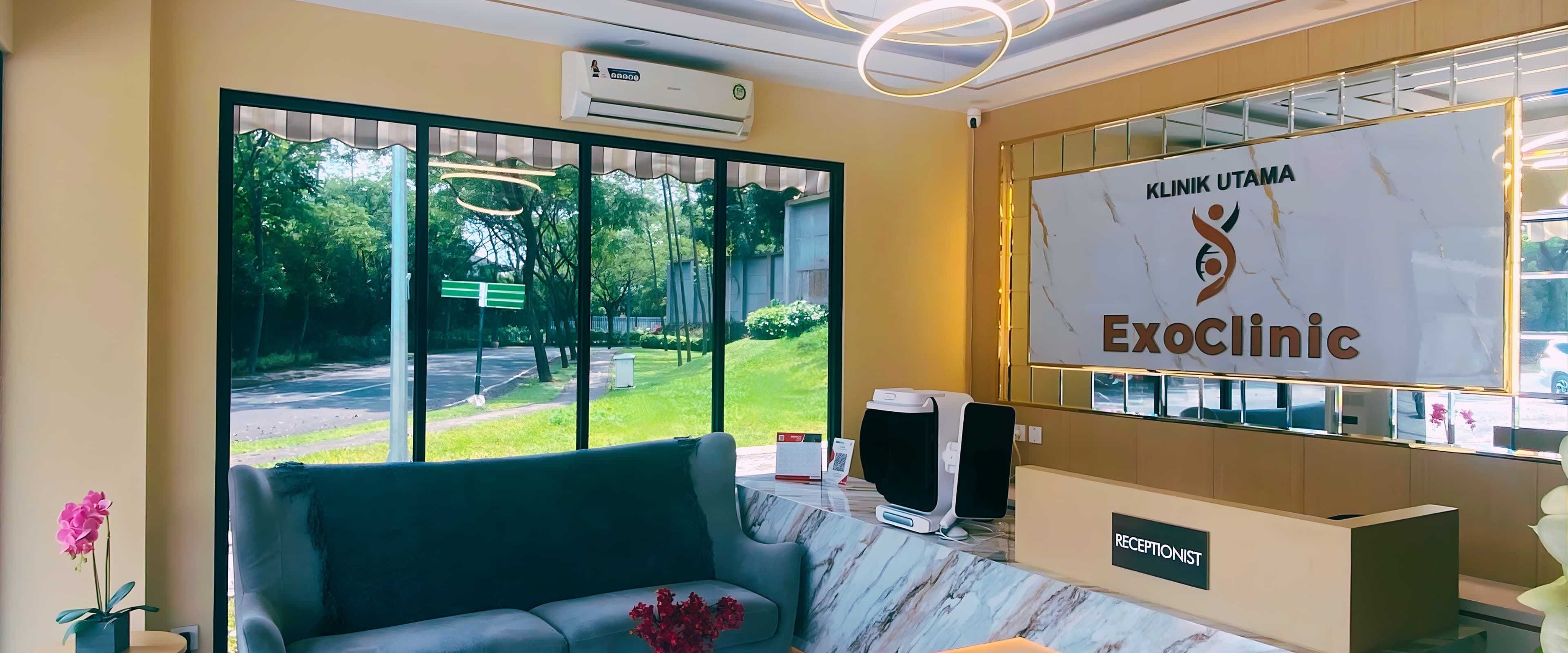 Aesthetic treatment room